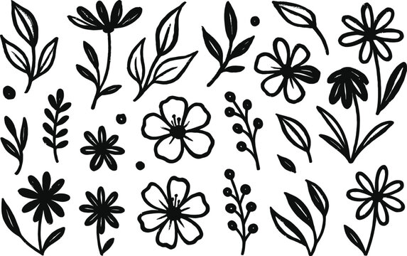 Flower brush hand drawn vector set. Hand drawn doodle flower, floral leaf elements in brush stroke ink style. Simple abstract botanical silhouette set for nature black paint art.