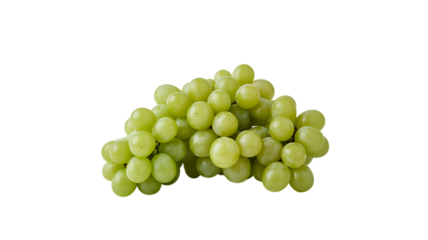 Bunch of Grapes Garden Fruit Picking