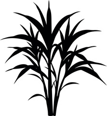 sugarcane plant silhouette, bamboo tree black symbol, 