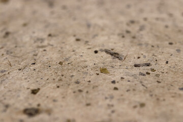 Close-up of a textured paper texture surface with small debris.