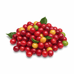 เมล็ดกาแฟสด