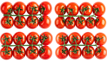 Cluster of vine tomatoes, bright red, symmetrical, fresh produce