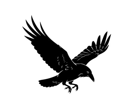 A stark black silhouette of a large raven is depicted against a plain white background, captured in a powerful descent with its wings outstretched and talons bared
