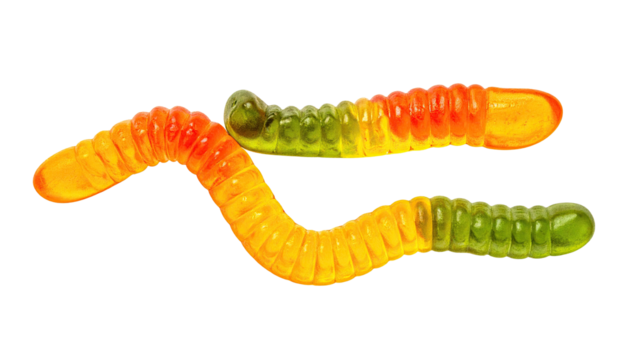 Two gummy worms, red-yellow and green-yellow, wriggling