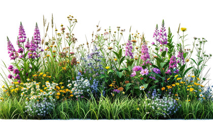 Vibrant wildflower patch, blooming in colorful profusion