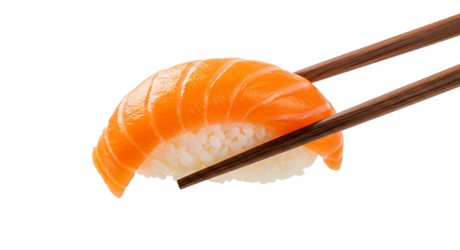 Salmon nigiri held by chopsticks sushi rice