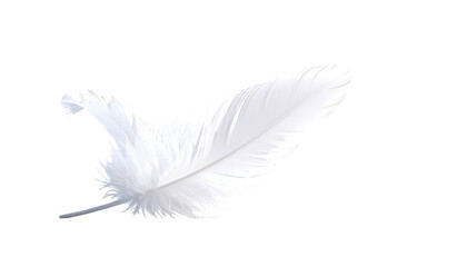 Obraz premium Pure white feather isolated, lying diagonally on a dark backdrop