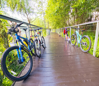 2025: Mountain bikes parked on an ecological trail