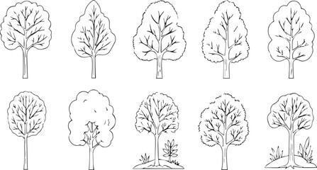 Set of Trees Drawn with Black Lines | Tree Illustrations for Ecology, Forest, or Educational Material