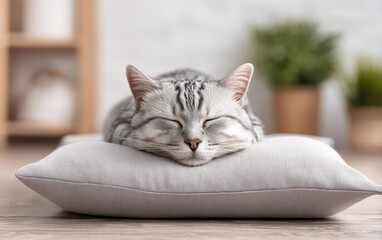 Serene cat enjoys meditation on soft pillow in cozy indoor setting surrounded by plants. This peaceful scene captures essence of relaxation and tranquility
