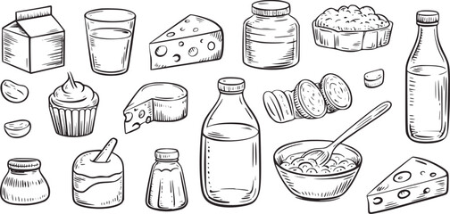Dairy products and baked goods illustration milk cheese