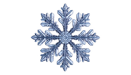 Intricate ice crystal snowflake with six points on black background