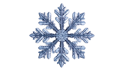 Intricate ice crystal snowflake with six points on black background
