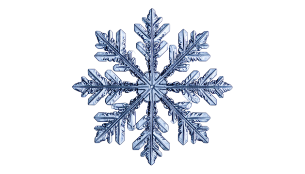 Intricate ice crystal snowflake with six points on black background