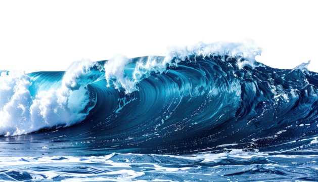 Powerful, curled wave cresting, with white foam against black