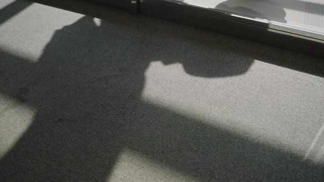 Silhouette and shadows of passengers boarding or disembarking plane in airport terminal. Strong sunlight shining creating shadows on ground by glass windows as people walk with suitcases and luggage