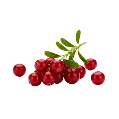 Obraz premium Fresh cranberries isolated on a plain background