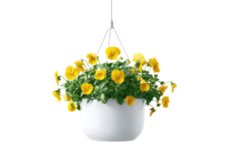A vibrant hanging basket overflowing with bright yellow flowers and lush green foliage against black