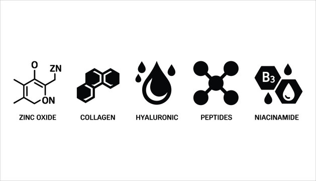 Icons representing zinc oxide collagen hyaluronic acid peptides and niacinamide with text labels vector