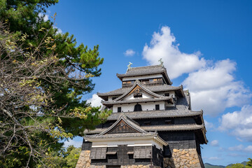 Fototapeta premium 松江城の天守閣の風景