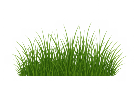 Fresh green grass growing, creating natural border elements and vibrant botanical designs with transparent background - Powered by Adobe