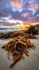 Vibrant sunset over ocean, seaweed strewn beach, dramatic sky