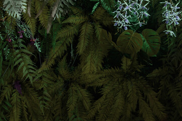 Mixed leaves, green leaves, abstract texture, tropical leaves, natural dark green background. PHOTO	