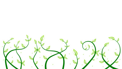 Green Vines And Leaves Design With Curving Stems For Natural Fresh Garden Background