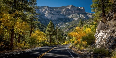 Naklejka premium Springtime at Mount Charleston: A Majestic Nevada Landscape Surrounded by Forests and Trees