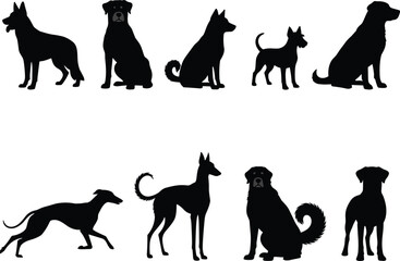 WebDog breed silhouette lineup, sitting standing running pose vector illustration, pet shape diversity study, cad drawing flat vector illustration