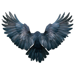 Obraz premium Dramatic raven with outstretched wings, soaring with power and freedom against the void