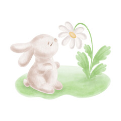 Cute little bunny with daisy flower on lawn. Watercolor rabbit with chamomile illustration for Easter card. Hand-drawn isolated hare, smiling character for baby shower design. Clip art funny animal.