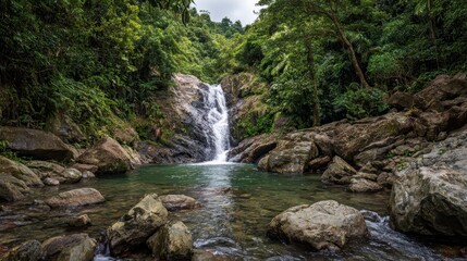 Fototapeta premium Majestic Juan Diego Falls in El Yunque, Puerto Rico: A Lush Green Landscape with Cascading Water Over Rocks