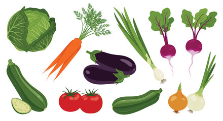 A colorful collection of fresh farm vegetables such as cabbage, carrots, zucchini, eggplants, tomatoes, onions, scallions, and radishes.