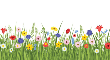 Vibrant meadow border featuring a variety of colorful wildflowers and lush green grass against a clean white background.