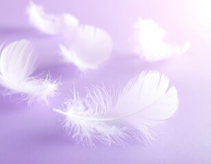 Obraz premium Close-up of fluffy white feathers gently falling against a lavender backdrop