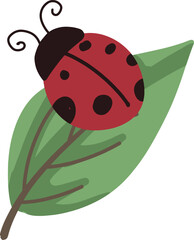 Cute Hand-Drawn Ladybug Resting on a Green Leaf
