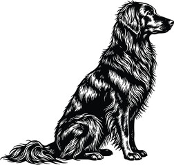 WebShaggy dog sitting silhouette, long fur vector illustration, alert pet posture study, cad drawing animal anatomy flat vector illustration