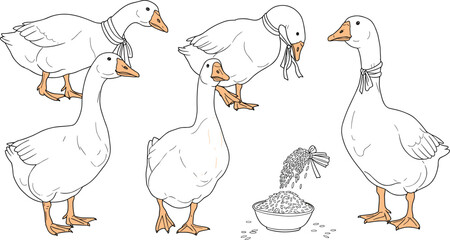 Funny geese teamwork around food bowl, standing on each other, farm birds eating grains, humorous animal behavior, countryside poultry feeding scene