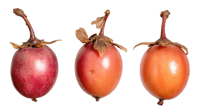 Three vivid fruits presented neatly on stark dark field individual fruits arranged precisely on clean black plane