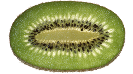 Interconnected abstract forms create repeating visual pattern visual design features dense overlapping symmetrical elements