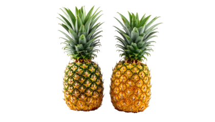 Two ripe pineapples with vibrant green tops, isolated