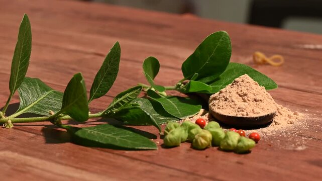 Withania somnifera ( Ashwagandha) Root powder, Green Fruit, green leaves on wooden background. Herb
