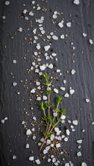 Herb sprigs with salt and pepper on dark stone background