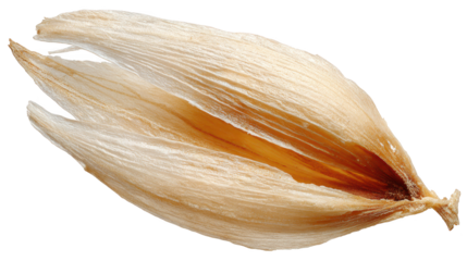 Peeled onion close up reveals intricate layers detailed view highlights texture and subtle color variations