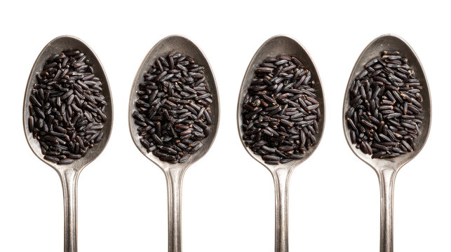 Spoons hold rice in neat row multiple spoons each contain grains of rice spoons - multiple spoons each contain grains of rice