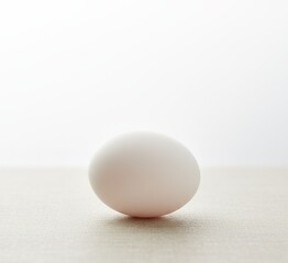 Simple Perfection: Close-up of a Single Smooth White Egg on a Textured Surface