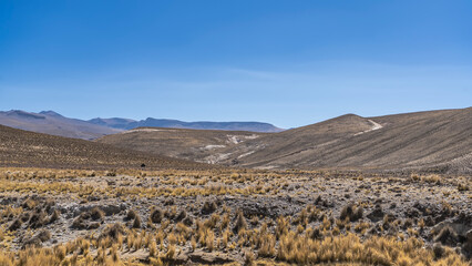 The landscape of the Andes highlands. Tufts of dry, yellowed   grass on stony ground. Mountain slopes against a clear blue sky. Peru.