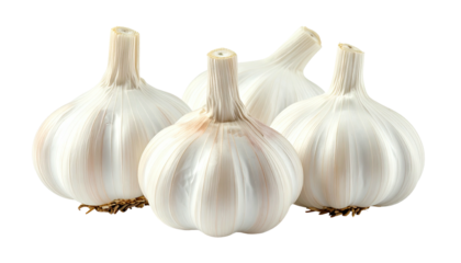Four heads of fresh, whole, white garlic on a black background