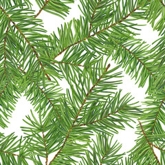 Fototapeta premium Fir branches seamless pattern for textile wrapping papers packaging designs party decorations scrapbooking. Spruce branches Illustration on transparent background.